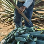 Express Dawn - Exploring the Juan Beckmann Gallardo Cultural Center