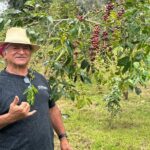Express Kona Farms ATV Adventure Tour 30 Minute Excursion - Riding Through Kona’s Ancient Ohia Forests