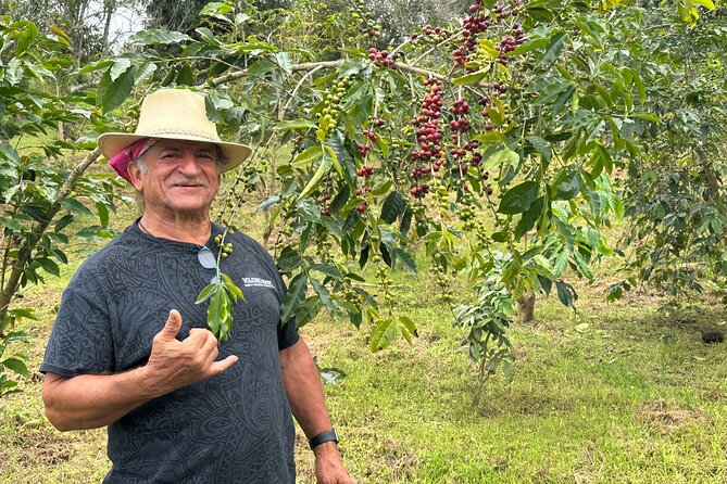 Express Kona Farms ATV Adventure Tour 30 Minute Excursion - Riding Through Kona’s Ancient Ohia Forests
