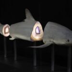 Exquisite Creatures Exhibit By Christopher Marley - Location and Accessibility of the Exhibit in Seattle