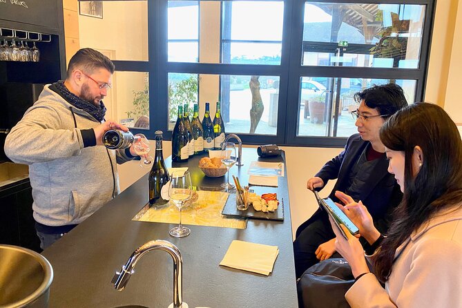 Exquisite Wines Tasting Chateau Pommard, Chablis Small-Group Trip - Starting Point and Convenient Pickup Options