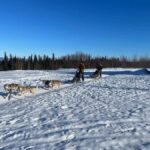 Fairbanks: 2-Hour Basic Dog Mushing School - Learning the Art of Dog Mushing from Experts