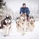 Fairbanks, AK: Half Day "Drive your Own Dog Team" Tour - Meeting Point and Logistics at Arctic Dog Adventure Co.