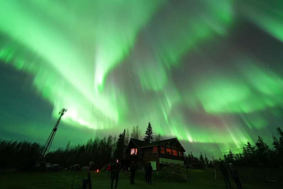 Fairbanks: Aurora Husky Lodge Aurora Viewing Tour - Cozy Rustic Cabin with Large Windows for Aurora Gazing