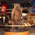 Fairbanks Autumn/Winter City Tour - Visiting the University of Alaska Museum of the North