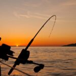 Fairbanks: Half-Day Fishing Trip with Hotel Pickup - Key Points