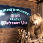 Fairbanks: Northern Lights & Chena Hot Springs Tour - Scenic Drive Through Interior Alaska with Wildlife Spotting
