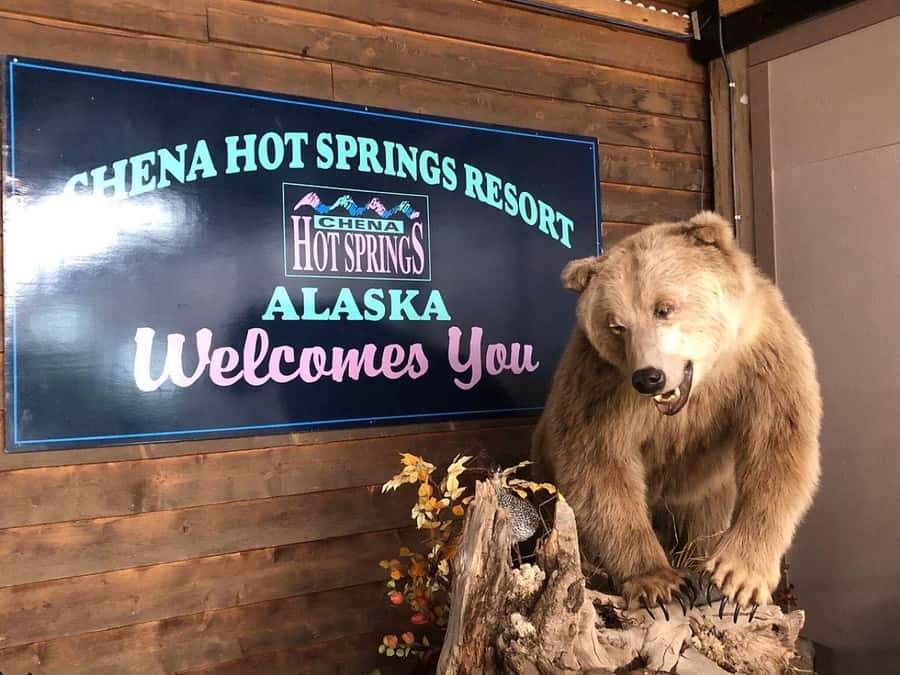 Fairbanks: Northern Lights & Chena Hot Springs Tour - Scenic Drive Through Interior Alaska with Wildlife Spotting