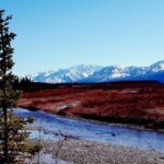 Fairbanks to Denali Shuttle Service - Scenic Journey with Expert Commentary