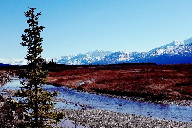 Fairbanks to Denali Shuttle Service - Scenic Journey with Expert Commentary