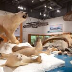 Fairbanks Top City Highlights Tour Summer/Fall - Morris Thompson Cultural & Visitors Center: A Heart of Fairbanks