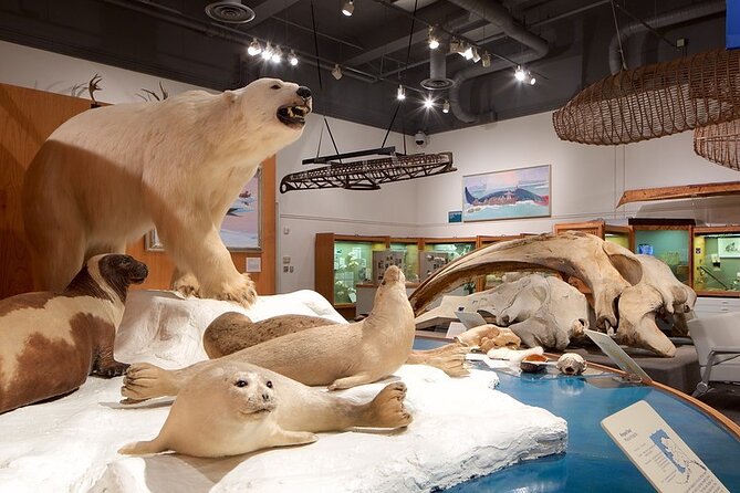 Fairbanks Top City Highlights Tour Summer/Fall - Morris Thompson Cultural & Visitors Center: A Heart of Fairbanks