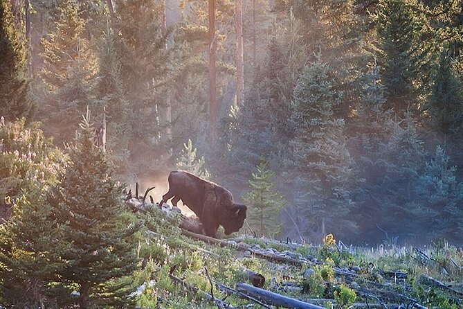 Fairy Falls Day Hike Tour - Starting Point at Old Faithful Visitor Center
