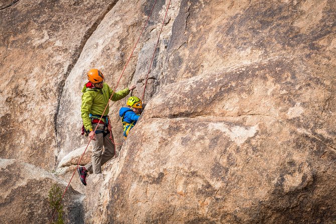 Family Rock Climbing Trips in Joshua Tree National Park (4 Hours) - What the Climbing Guides Bring to the Experience