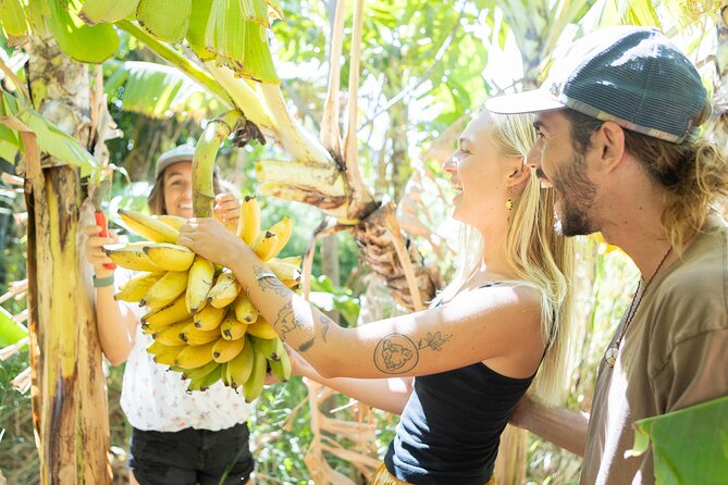 Farm to Taco: A Farm to Table Cooking Class - Maui’s Farm-to-Taco Class: Small Group and Personal Touches