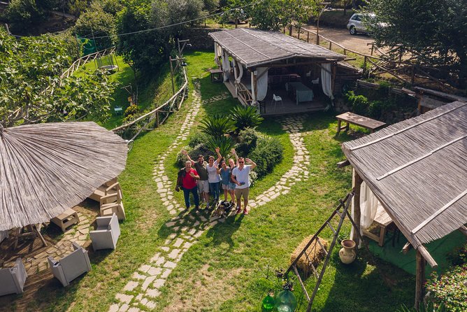 Farm tour with cheese & pizza experience, wine & Limoncello test - What’s Included in the 4-Hour Farm Tour?