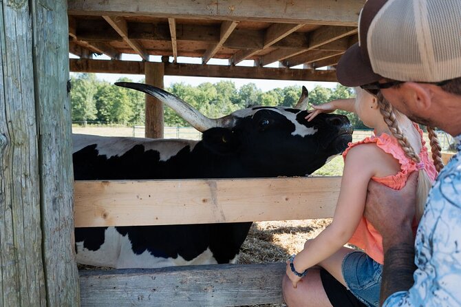 Farm Visit With Mini Domestic Animals - Guided Tour with Knowledgeable Hosts