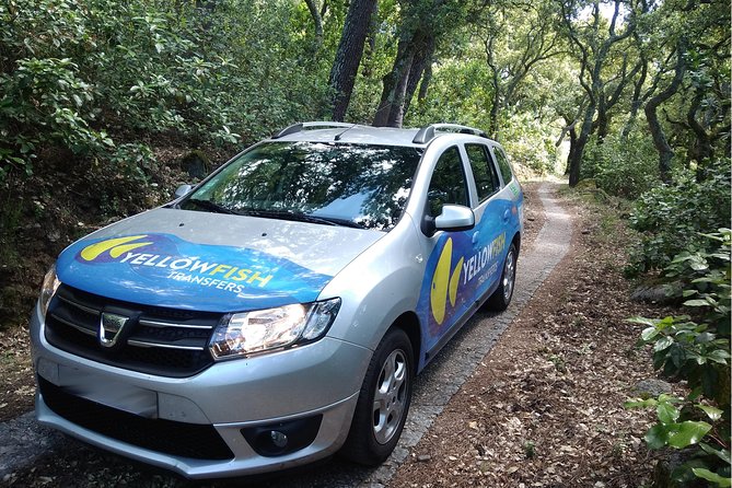 Faro airport - Albufeira: Private Return Transfer - Customizable Service with Excess Luggage and Child Seats