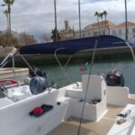 Faro: Dolphin and Marine Life Watching Boat Tour - Visiting the Ria Formosa Natural Park: A Bird and Wildlife Sanctuary