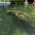 Fast and More 60 minute Airboat Tour on the Homosassa River - The Starting Point at Crump’s Landing