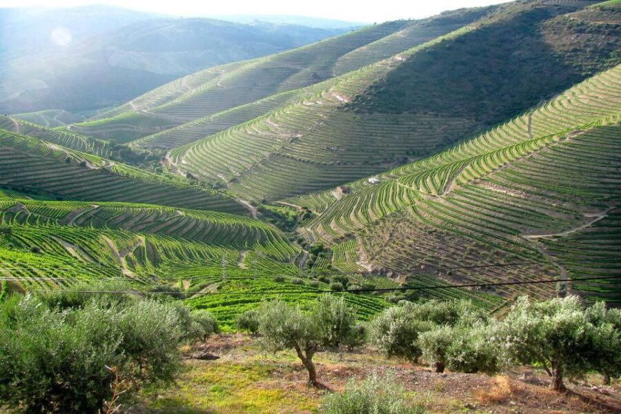 Fatima, Batalha, Nazare, Obidos Private Full Day Tour - Starting with the Religious Heart at Fatima Sanctuary