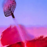 Fear And Loathing Experience! - Iconic Film Locations and Themed Photo Stops