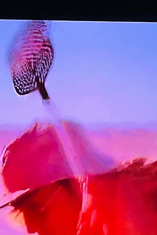 Fear And Loathing Experience! - Iconic Film Locations and Themed Photo Stops