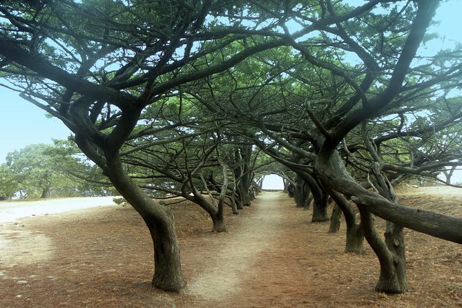 Filerimos Hill & Valley of Butterflies - Exploring Filerimos Hill and the Monastery