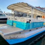 Fins Up - Dolphin & Island Sandbar Adventure in Clearwater Beach - Exploring Clearwater’s Marine Life and Scenic Views