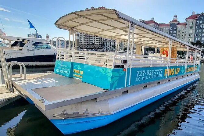 Fins Up - Dolphin & Island Sandbar Adventure in Clearwater Beach - Exploring Clearwater’s Marine Life and Scenic Views