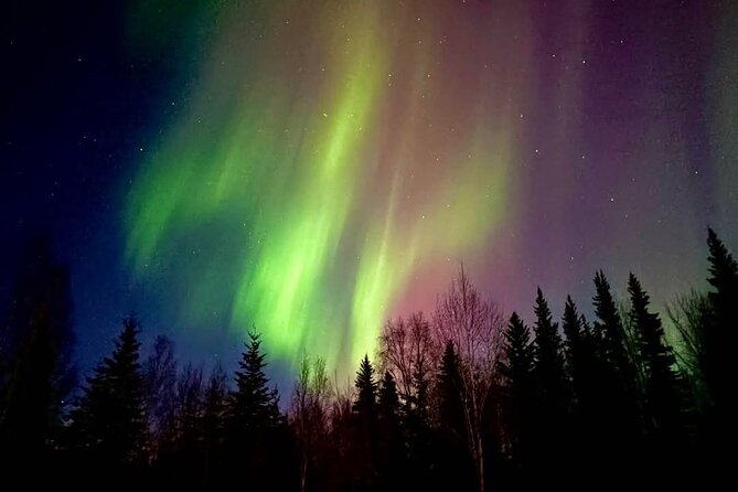 Fire & Ice: Chena Hot Springs, Ice Museum + Aurora Adventure - Scenic Drive into Alaska’s Wilderness