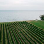 Fireside Flights Outdoor Tasting Experience - Discover Niagara’s Only Lakefront Winery