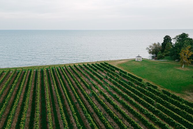 Fireside Flights Outdoor Tasting Experience - Discover Niagara’s Only Lakefront Winery