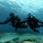 First scuba diving experience with instructor - Malta - What the Experience Includes: Equipment, Insurance, and Instructor