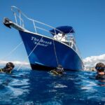 First Time Introductory Scuba Dive - How the Tour Introduces You to Scuba Diving Skills