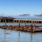 Fishermans Wharf Highlights Tour + Golden Gate Bay Voyage - Meeting Point and Practical Details at Jefferson Street