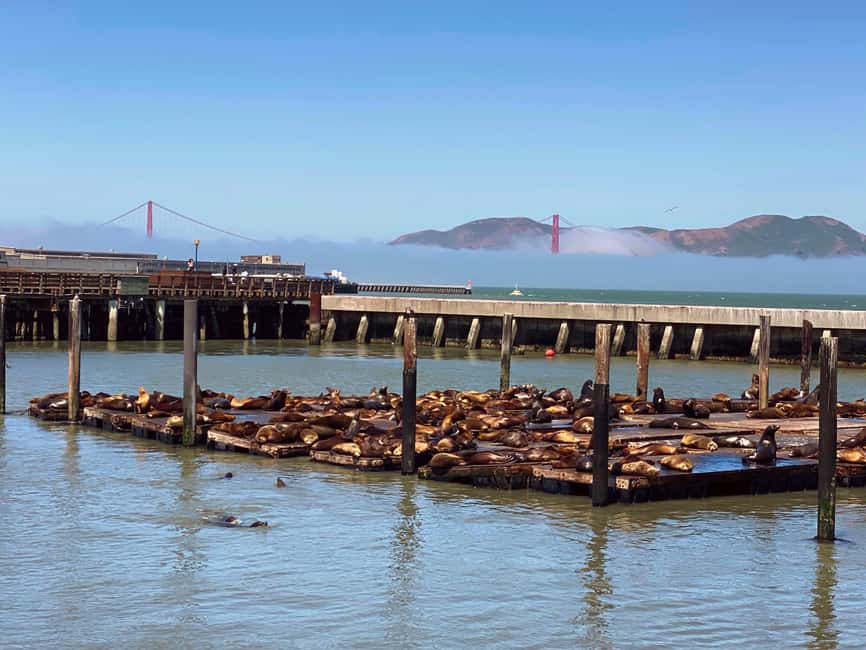 Fishermans Wharf Highlights Tour + Golden Gate Bay Voyage - Meeting Point and Practical Details at Jefferson Street