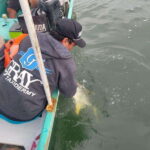 Fishing Adventure with local people - Starting Point at the Puerto Vallarta Marina Dock