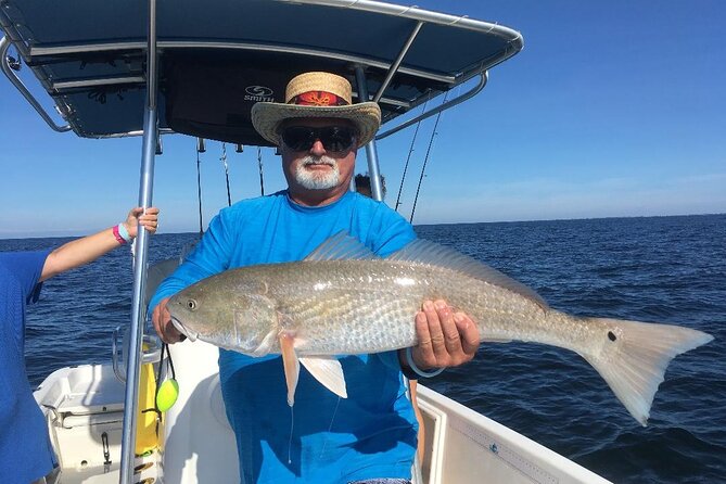 Fishing Charters - Fort Myers Beach / Naples - Fish Species Available in Fort Myers Waters