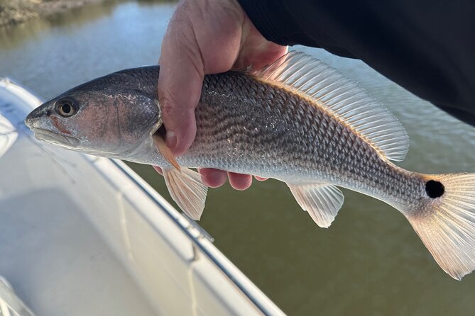 Fishing Charters in Mount Pleasant - Starting Point at Shem Creek Marina in Mount Pleasant
