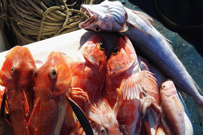 Fishing Experience Around Capri from Sorrento with Lunch Onboard - Enjoying Onboard Refreshments and Local Cuisine