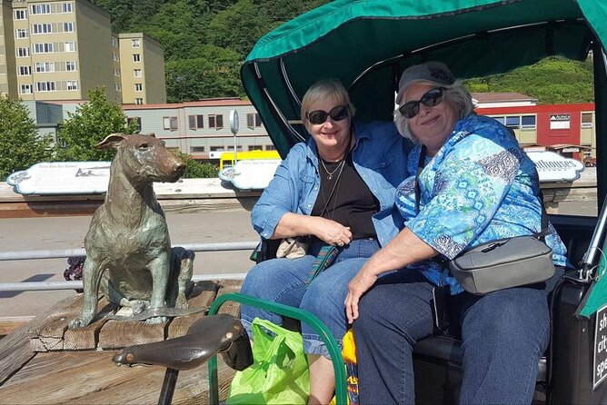 Five-Star Juneau Pedicab Private Tour - Unique Stops Highlighting Juneau’s Heritage and Culture