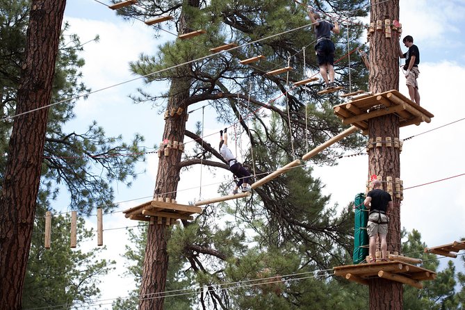 Flagstaff Extreme Adventure Course-Adult Course - The Role of Professional Guides and Safety Measures