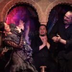 Flamenco Night at Tablao Cordobes in Barcelona - Experience the Flamenco Show at its Heart