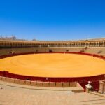 Flamenco Show at Tablao El Arenal with Drink and Optional Dinner or Tapas - The Historic Venue: Tablao El Arenal in Seville