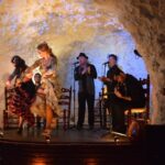 Flamenco Show in a Cave Restaurant in Granada - Exploring the Historic El Templo del Flamenco Venue