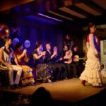 Flamenco Show with the Soul in Madrid - How the Ticket Includes Skip-the-Line Access and a Drink