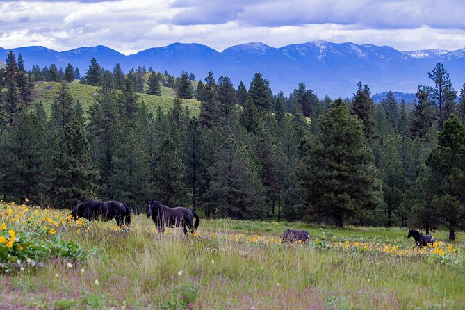 Flathead Lake Private Sunset Wild Horse Island Boat Tour - The Experience’s Unique Features and Benefits