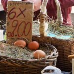 Flavours of Turin Walking Tour - Meeting Point at Piazza della Repubblica and the Starting Experience