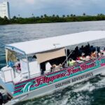 !! Flippers Fun Boat !! Dolphin Adventure Clearwater Beach! - Dolphin Sightings and Marine Life Encounters